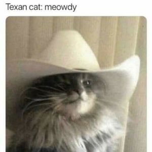 Meet your Posher, Robin